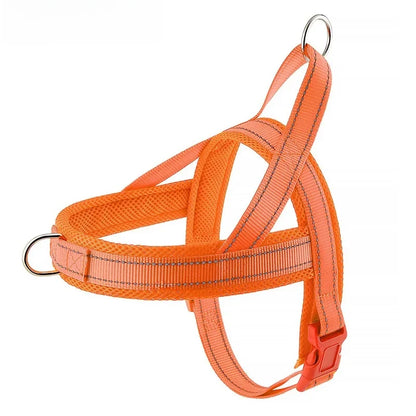 Explosion Proof Breathable Dog Leash and Vest