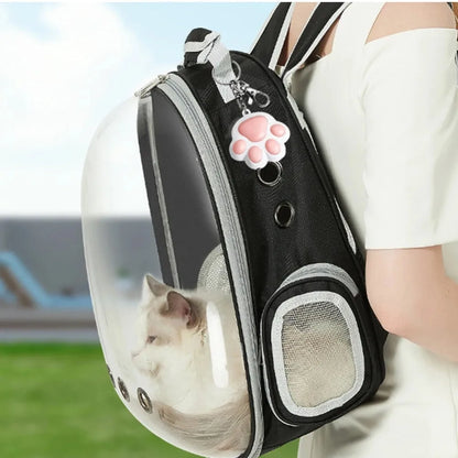 Interactive USB Rechargeable Laser Toy with Patterns