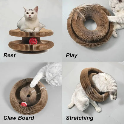 Creative Cat Scratching Board with Rolling Ball
