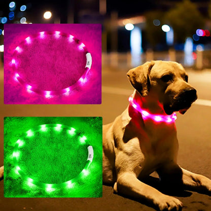 Silicone LED Light Up Collar with Rechargeable Battery