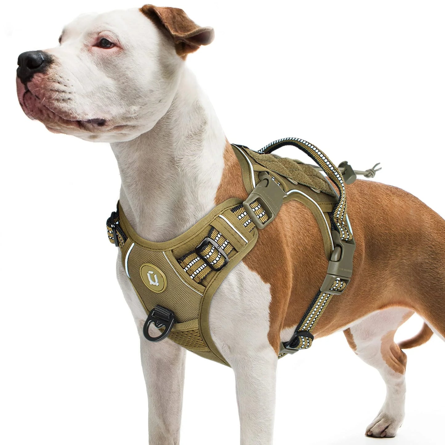 Breathable and Adjustable Dog Harness Vest