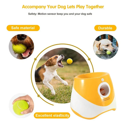 Automatic Ball Launcher Toy