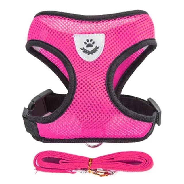 Adjustable Mesh Harness Vest and Leash Set
