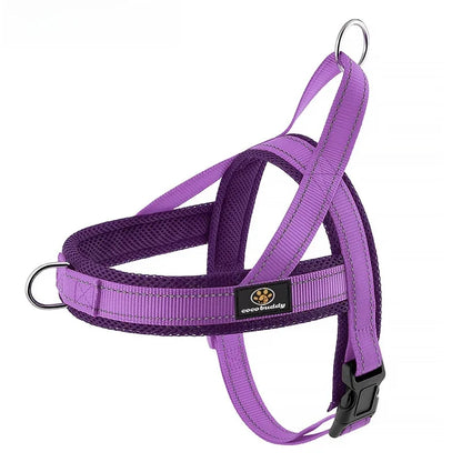 Explosion Proof Breathable Dog Leash and Vest