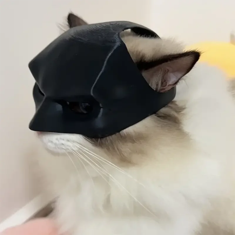 Cat Avenger Mask Toy for Playful Fun