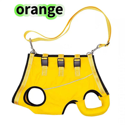 Rehabilitation Sling Carrier with Padded Straps | Breathable Hip Support for Hind Legs