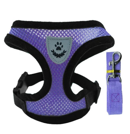 Adjustable Mesh Harness Vest with Leash Set