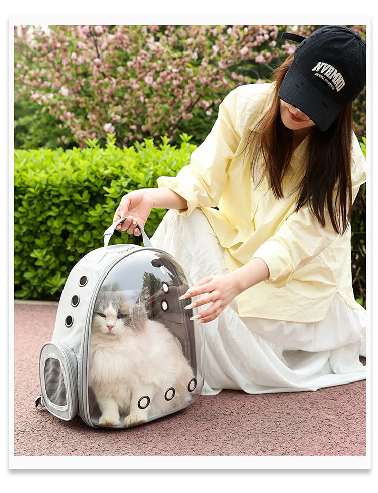 PurView Pro Transparent Cat Backpack - As seen in Argylle