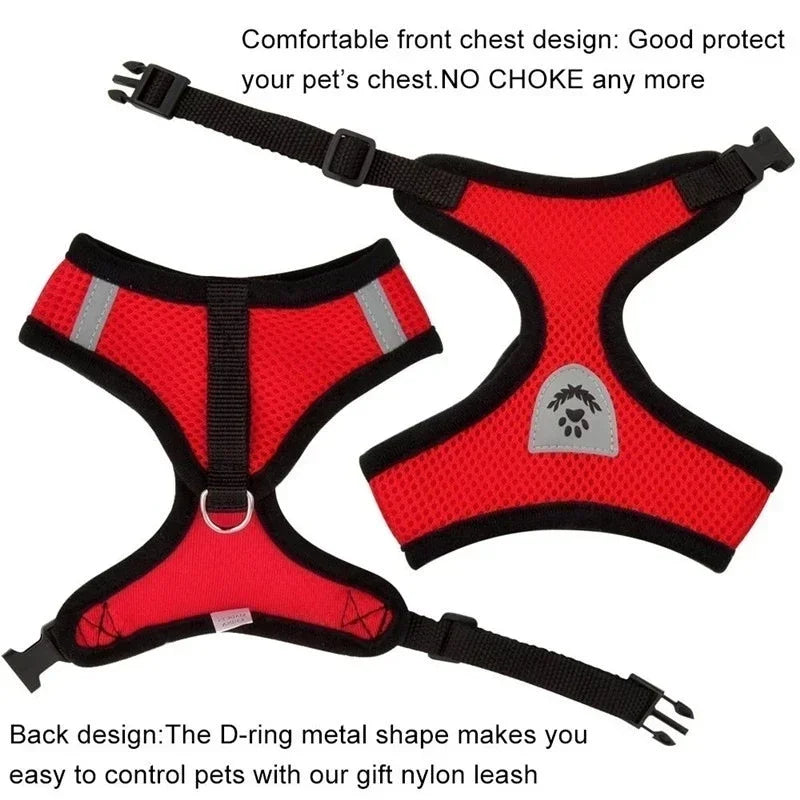 Adjustable Mesh Harness Vest and Leash Set