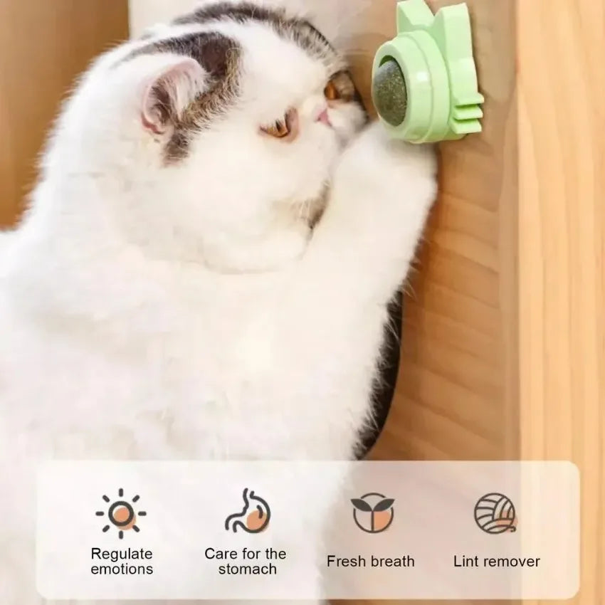 Lickable Catnip Balls Treats and Teeth Cleaner