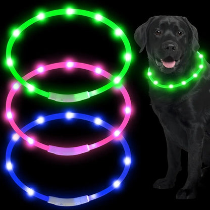 Silicone LED Light Up Collar with Rechargeable Battery