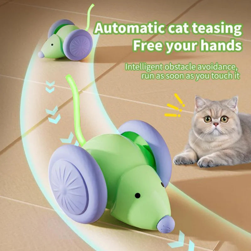 Interactive Electric Mouse Car Teaser Toy