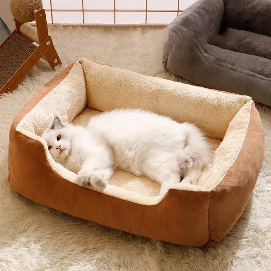 Cushioned Bed for Cats and Dogs