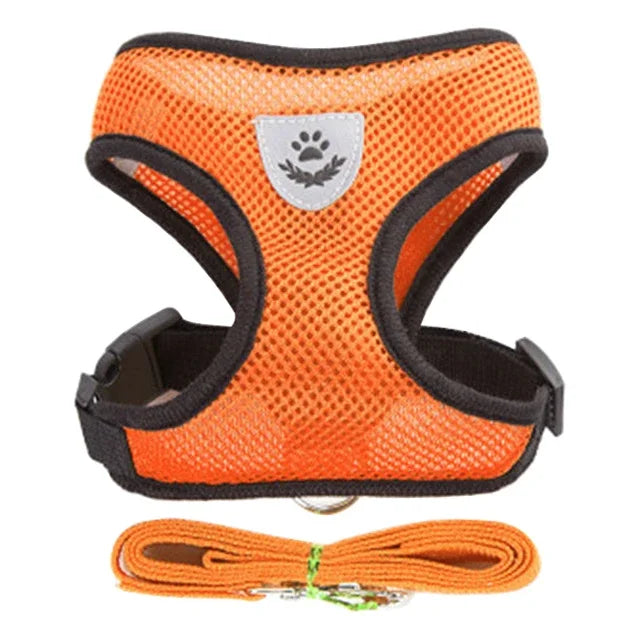 Adjustable Mesh Harness Vest with Leash Set
