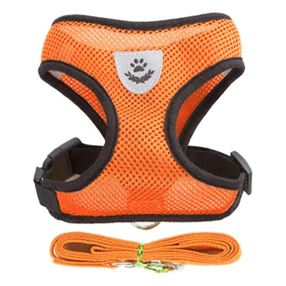 Adjustable Mesh Harness Vest with Leash Set