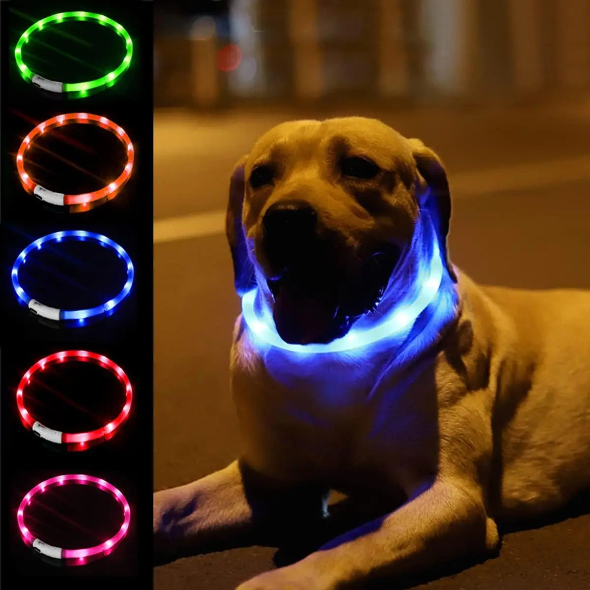 Silicone LED Light Up Collar with Rechargeable Battery