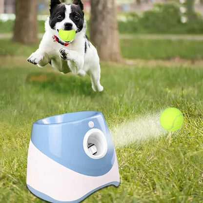 Automatic Ball Launcher Toy