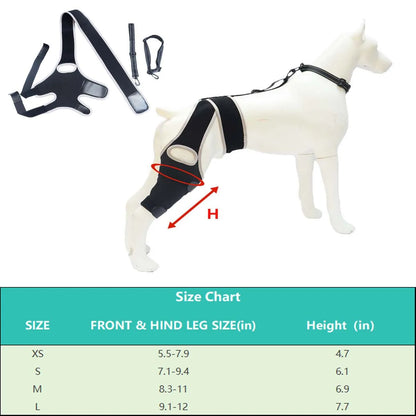 Dog Leg Support Brace (Knee Hip Joint)