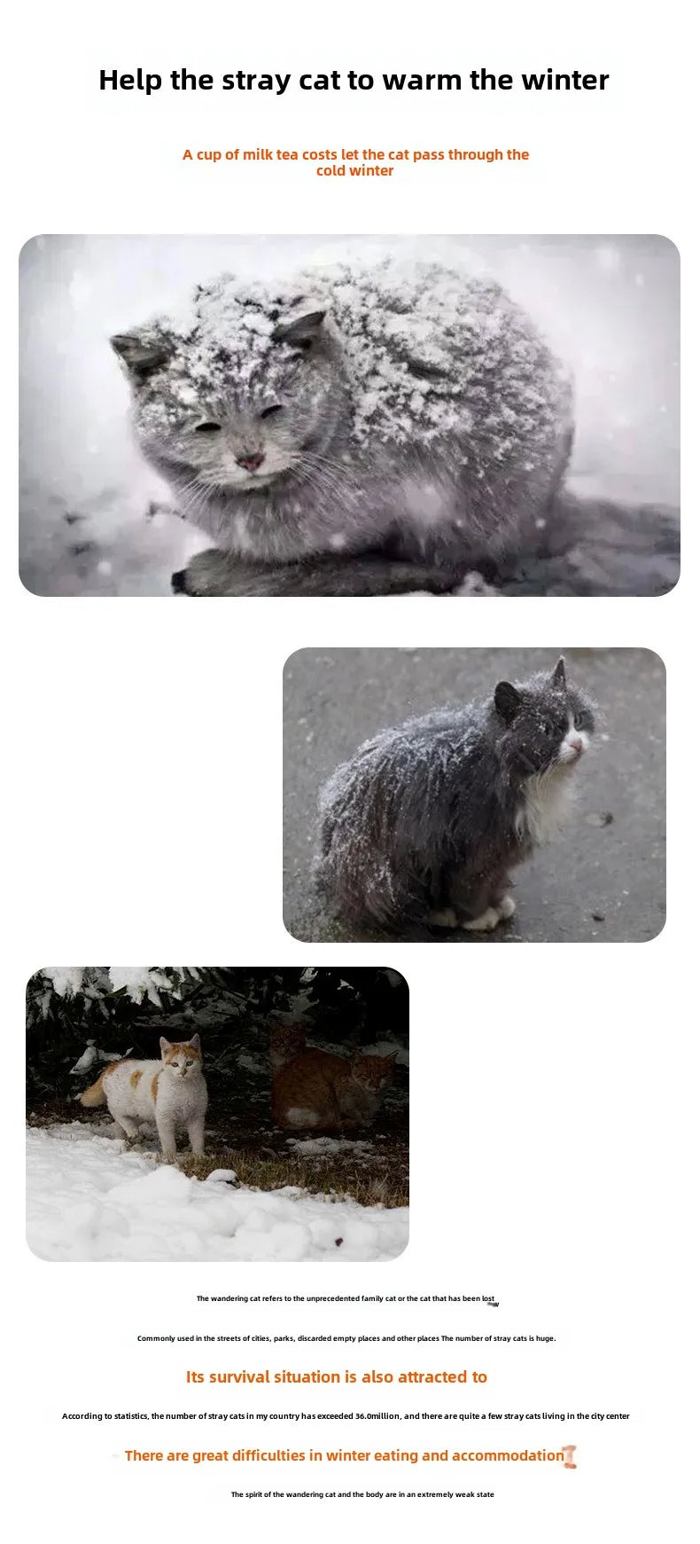 Waterproof Outdoor Winter Warm Pet Cave With Sleeping Beds