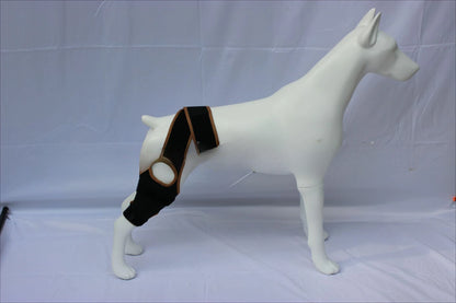 Dog Leg Support Brace (Knee Hip Joint)