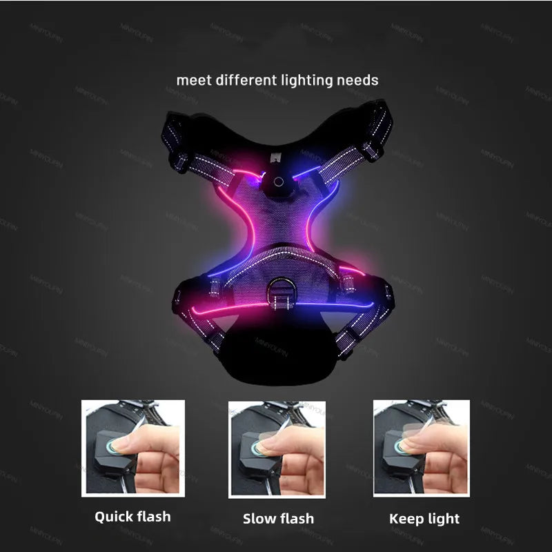 Luminous Dog Harnesses with Three LED Light Modes [Rechargeable]