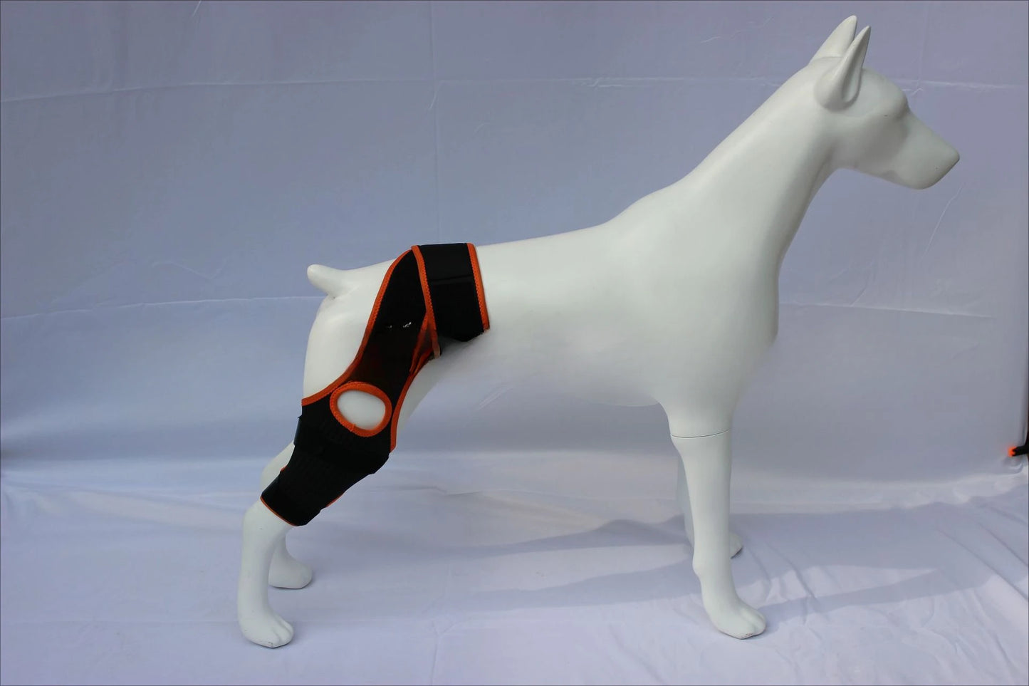 Dog Leg Support Brace (Knee Hip Joint)