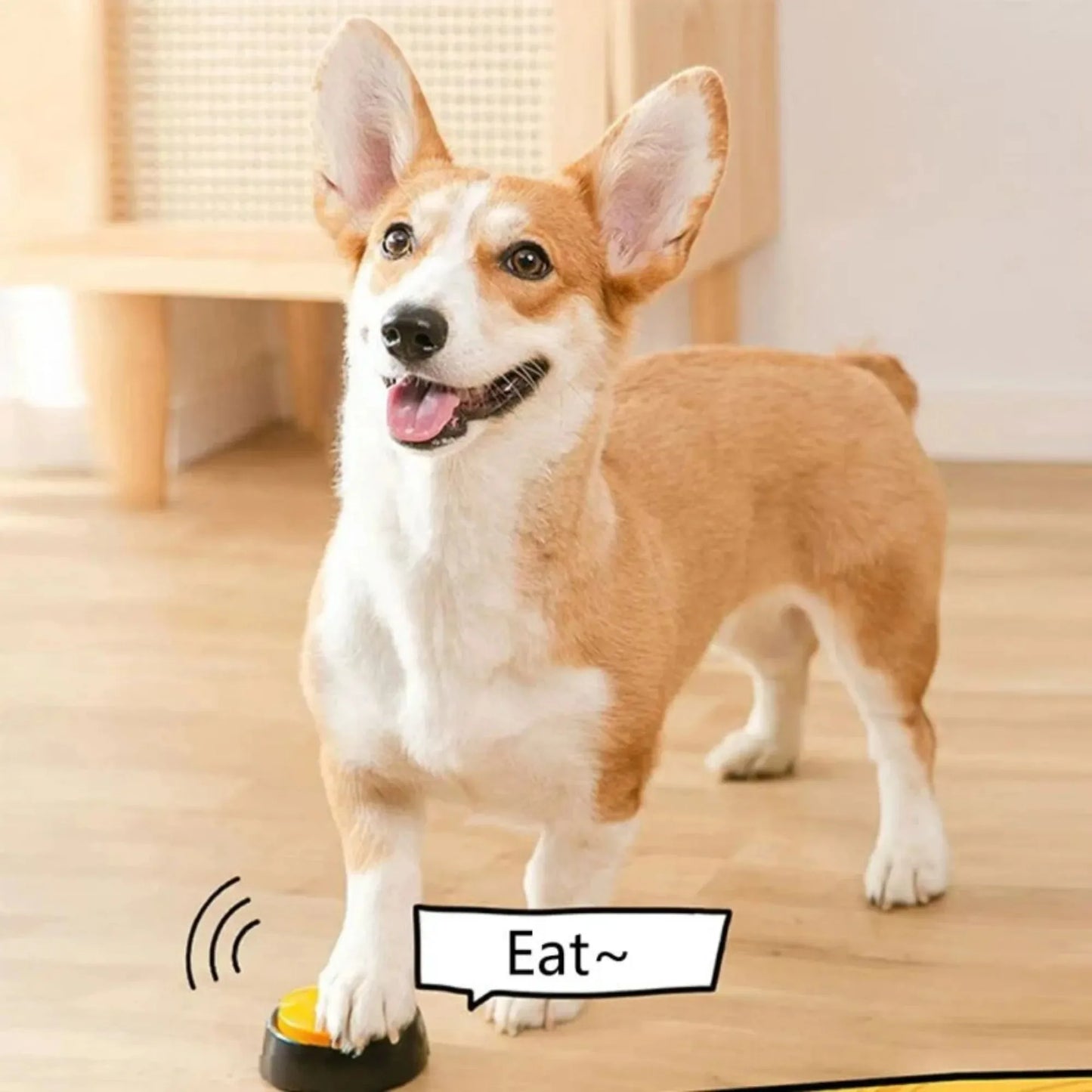 Dog Communication Buttons Voice Recording Buzzer
