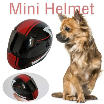 Protective Helmet for Dogs and Cats