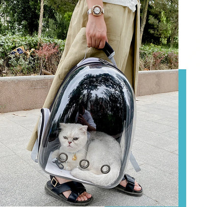 Breathable And Portable Transparent Pet Backpack