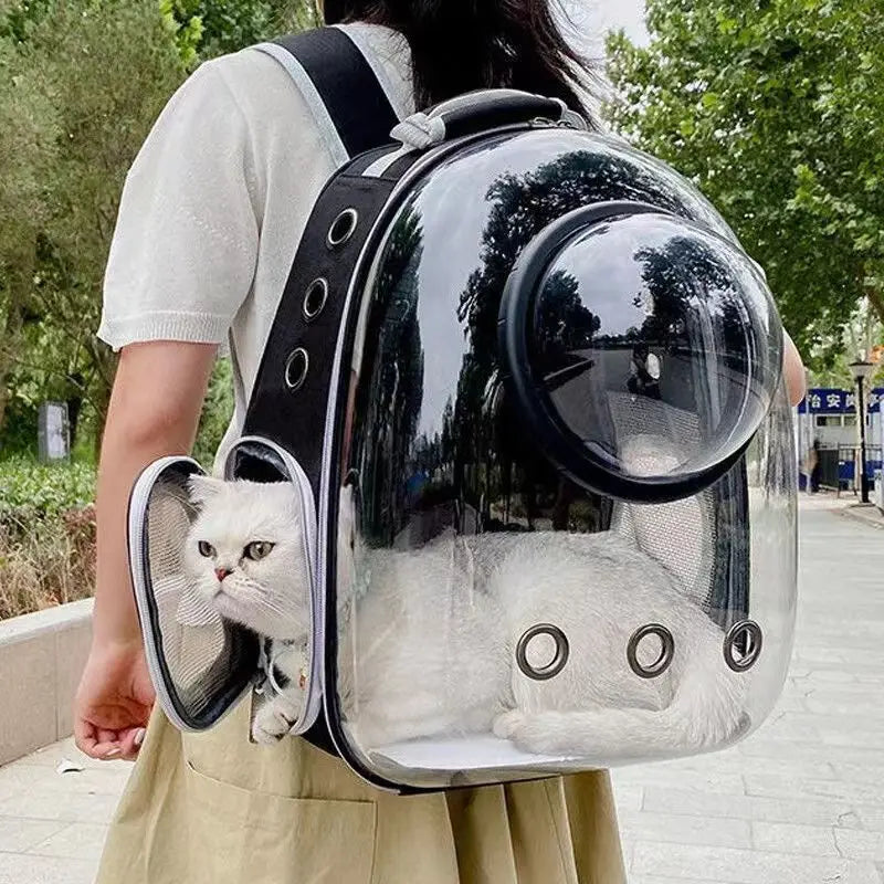 Breathable And Portable Transparent Pet Backpack