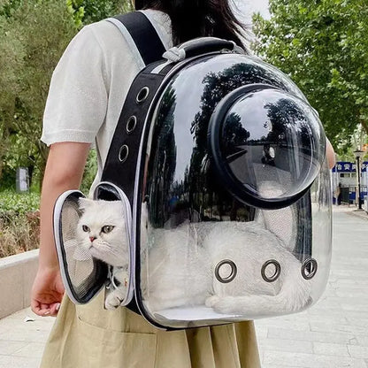 Breathable And Portable Transparent Pet Backpack