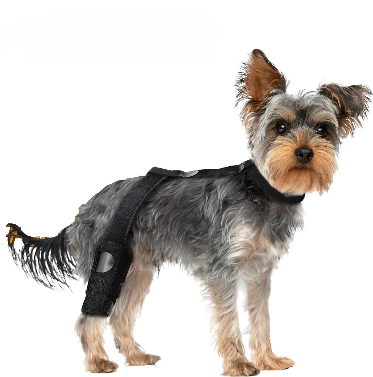 Dog Leg Support Brace (Knee Hip Joint)
