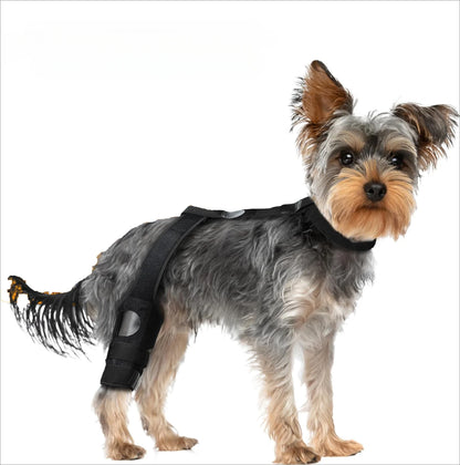Dog Leg Support Brace (Knee Hip Joint)