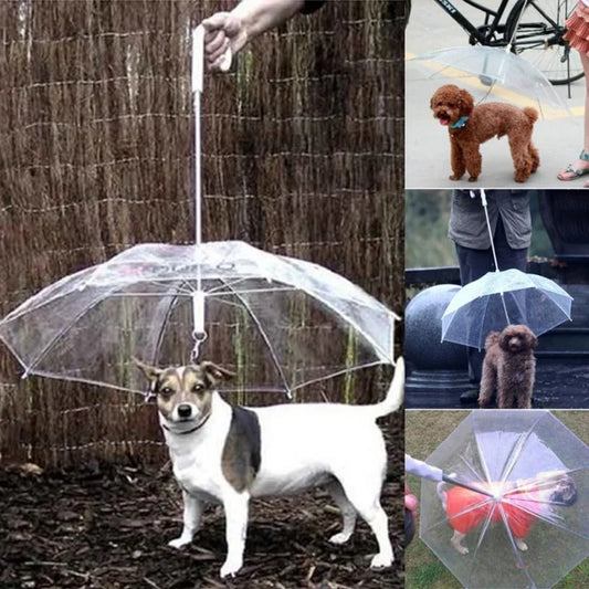 Waterproof Umbrella Poncho for Small Pets