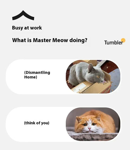 Interactive Motion Activated Plush Cat Toy Ball