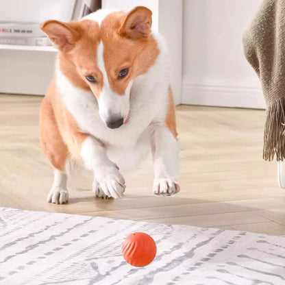 Automatic Interactive Jumping Dog Toy Ball