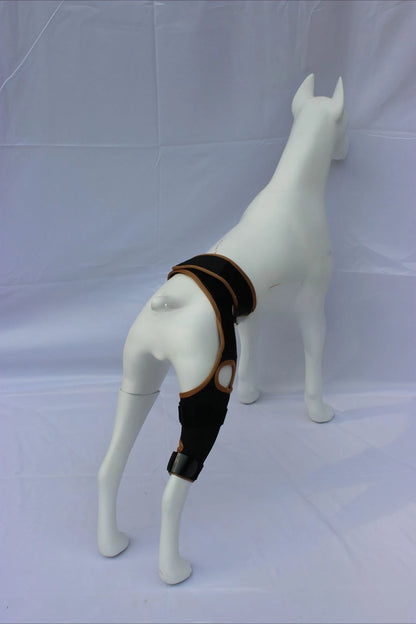 Dog Leg Support Brace (Knee Hip Joint)
