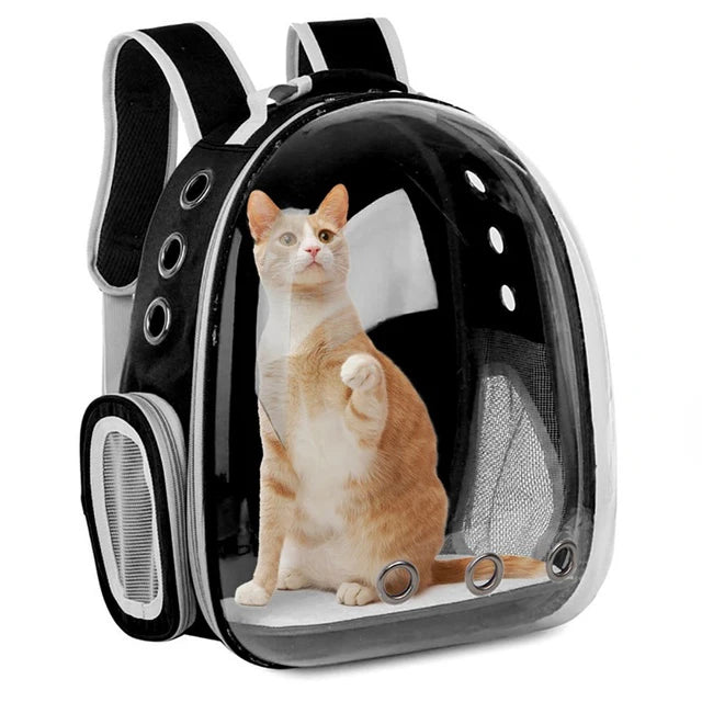 Breathable And Portable Transparent Pet Backpack