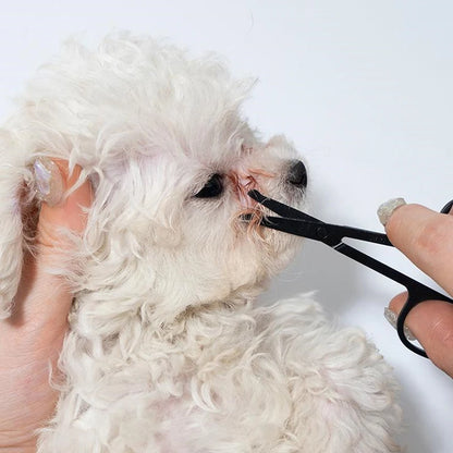 Portable Pet Eye Comb Tear Stain Remover Brush