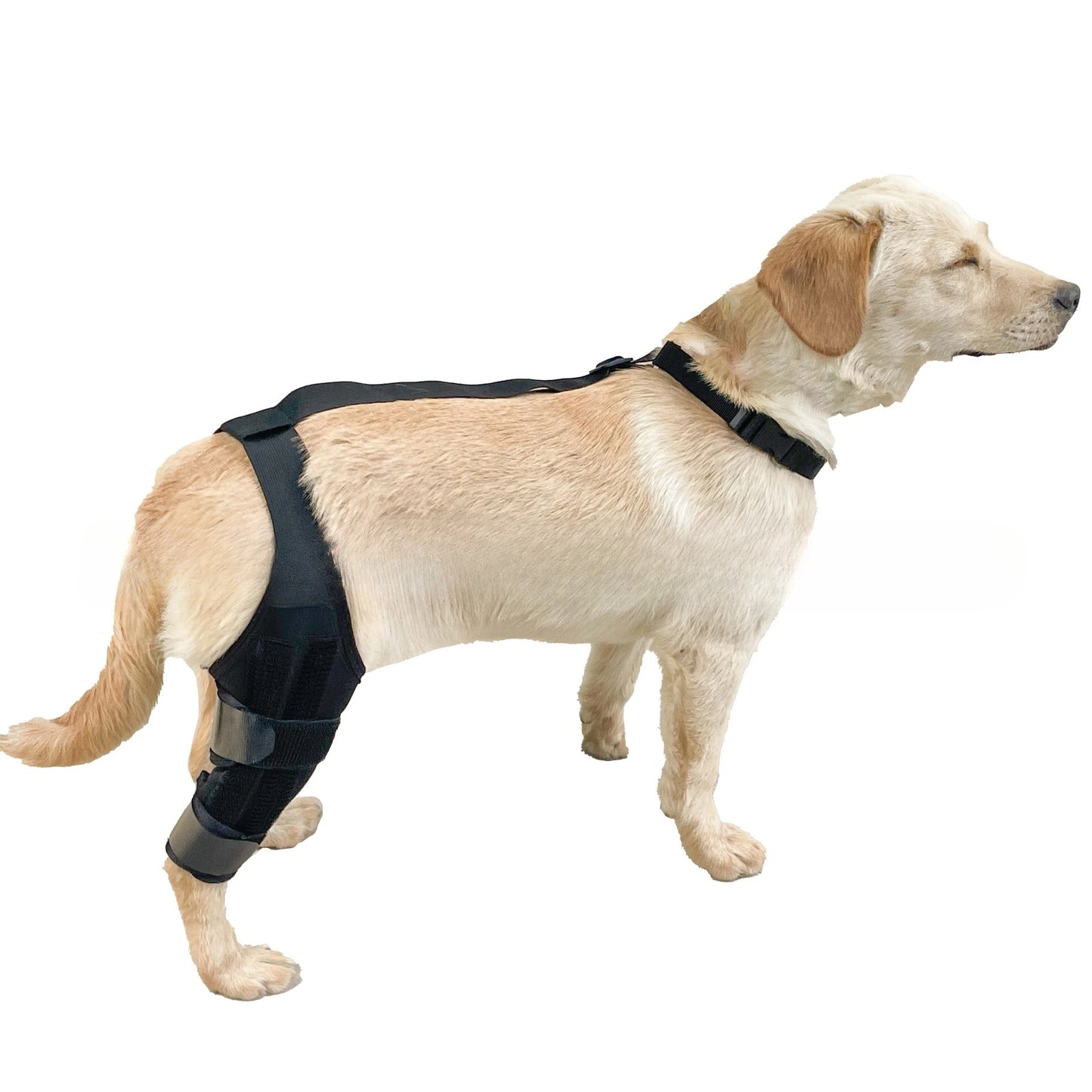 Dog Leg Support Brace (Knee Hip Joint)