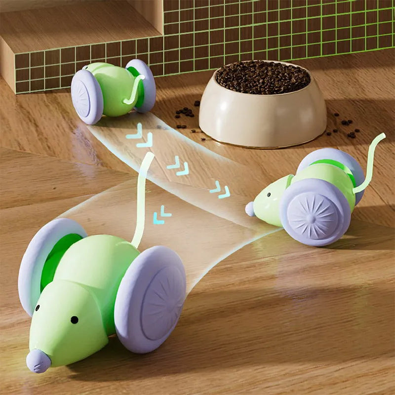 Interactive Electric Mouse Car Teaser Toy