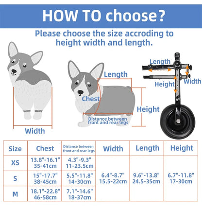 Pet Wheelchair Cart Adjustable Mobility Aids with Wheels [Rehabilitation Walking Mobility Aid]