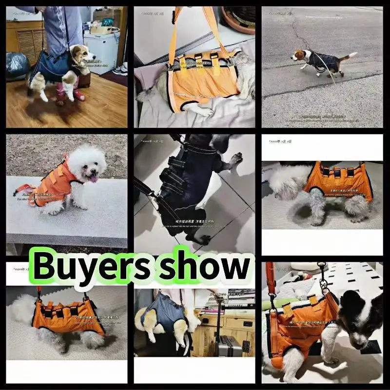 Rehabilitation Sling Carrier with Padded Straps | Breathable Hip Support for Hind Legs