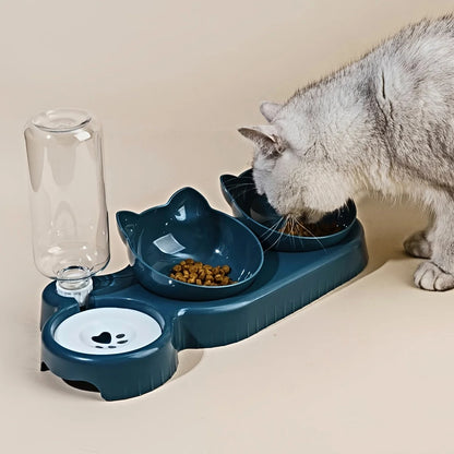 Tilted 3 In 1 Pet Bowl Set With Water Feeder