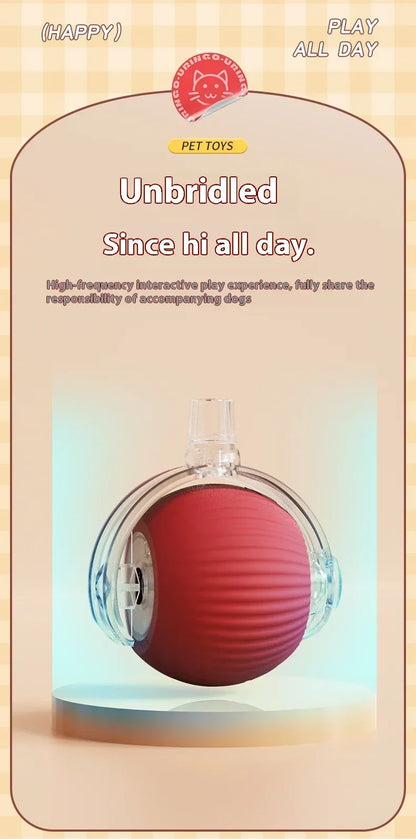 Interactive Motion Activated Plush Cat Toy Ball