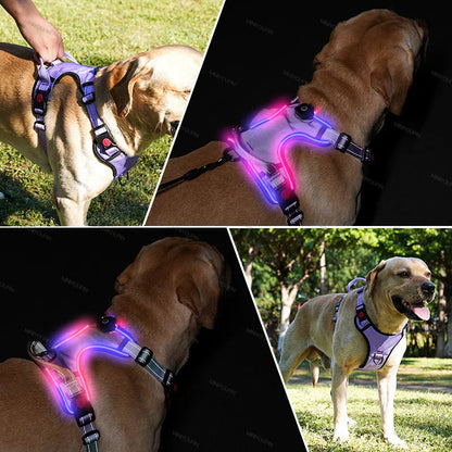 Luminous Dog Harnesses with Three LED Light Modes [Rechargeable]