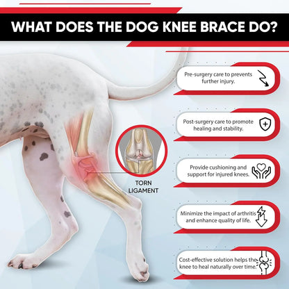 Dog Leg Support Brace (Knee Hip Joint)