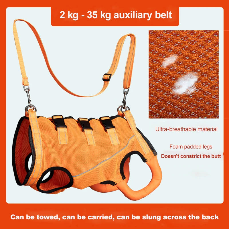 Rehabilitation Dog Sling Carrier with Padded Straps | Breathable Hip Support for Hind Legs | True Color Shown in Photos (Multi-C