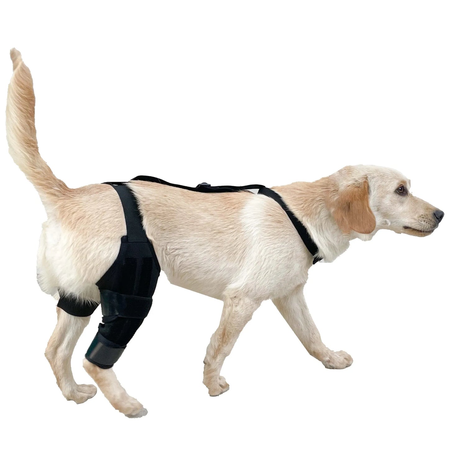 Dog Leg Support Brace (Knee Hip Joint)