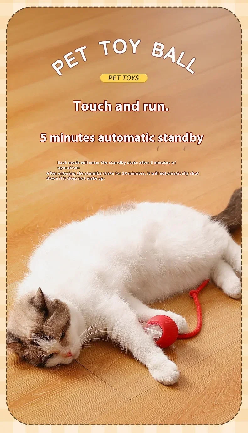 Interactive Motion Activated Plush Cat Toy Ball
